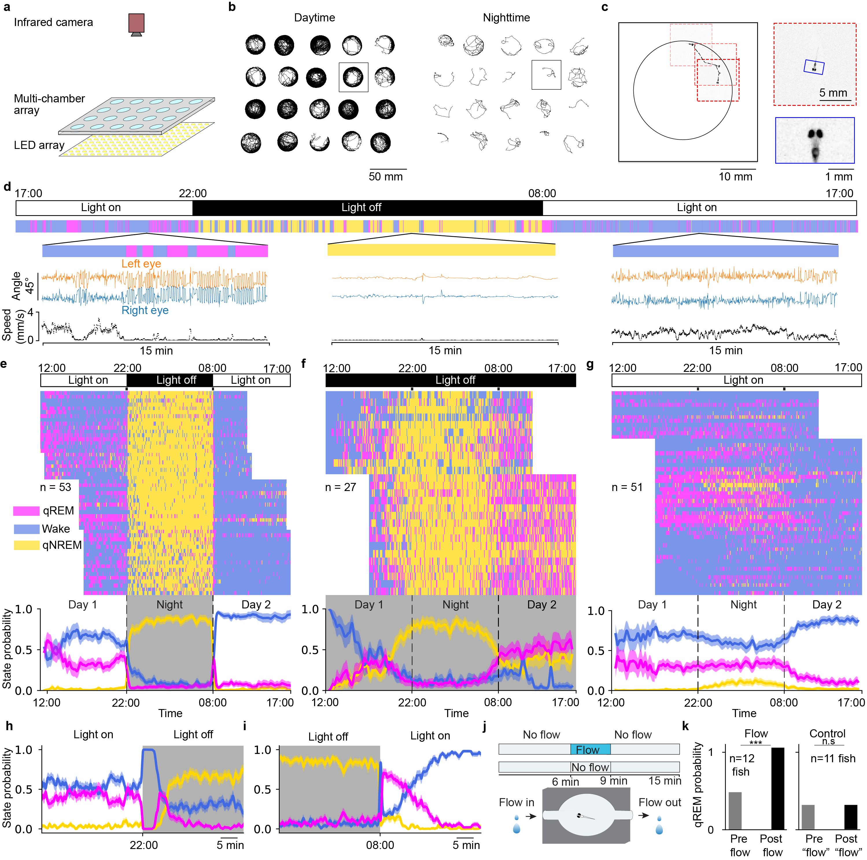 Figure 3: Brain-wide neural activity during qREM