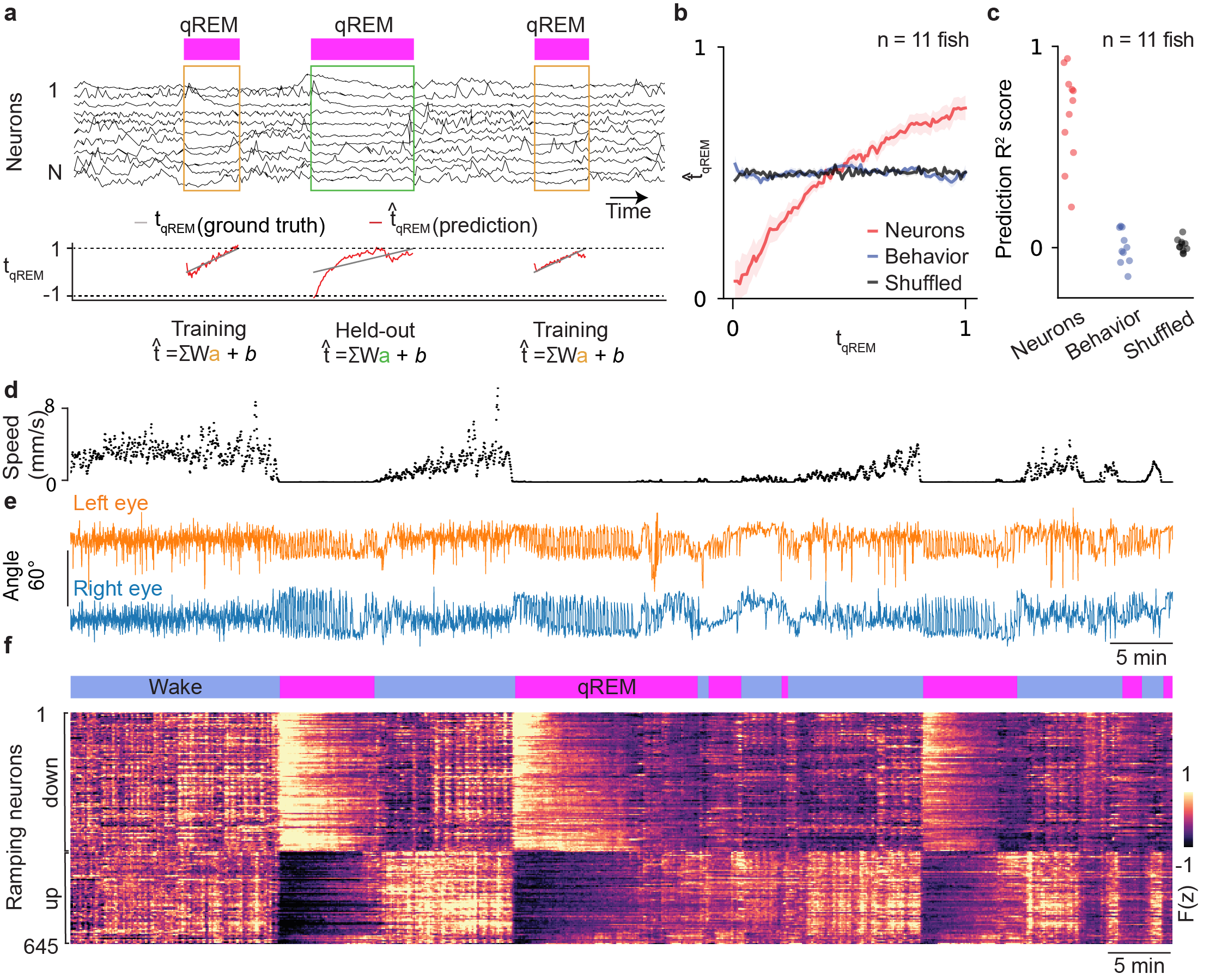 Figure 6: Decoding time from neural population activity during sleep