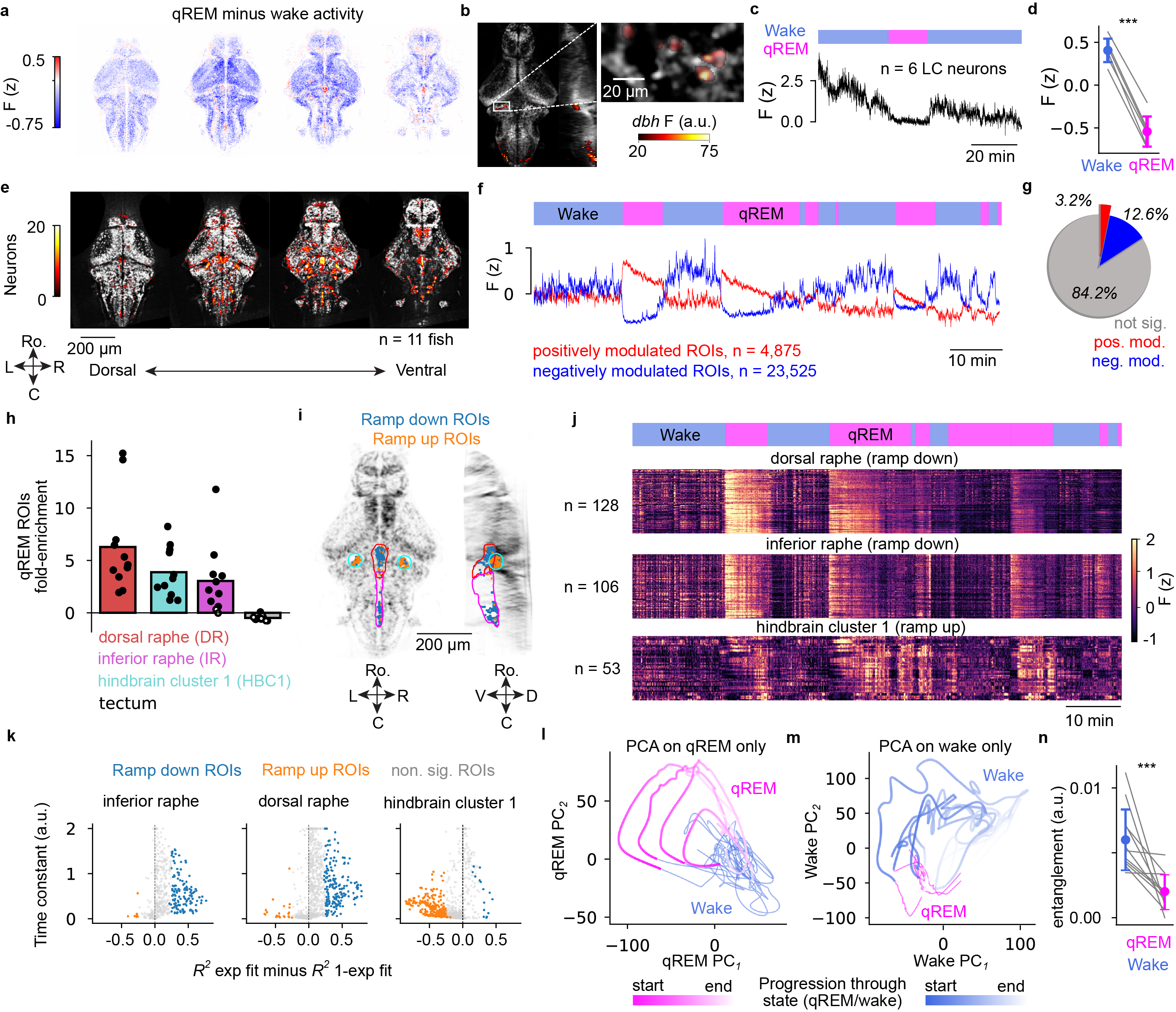 Figure 5: Additional analysis of sleep state organization